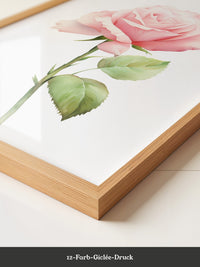 Rosenblüte Pastell Aquarell