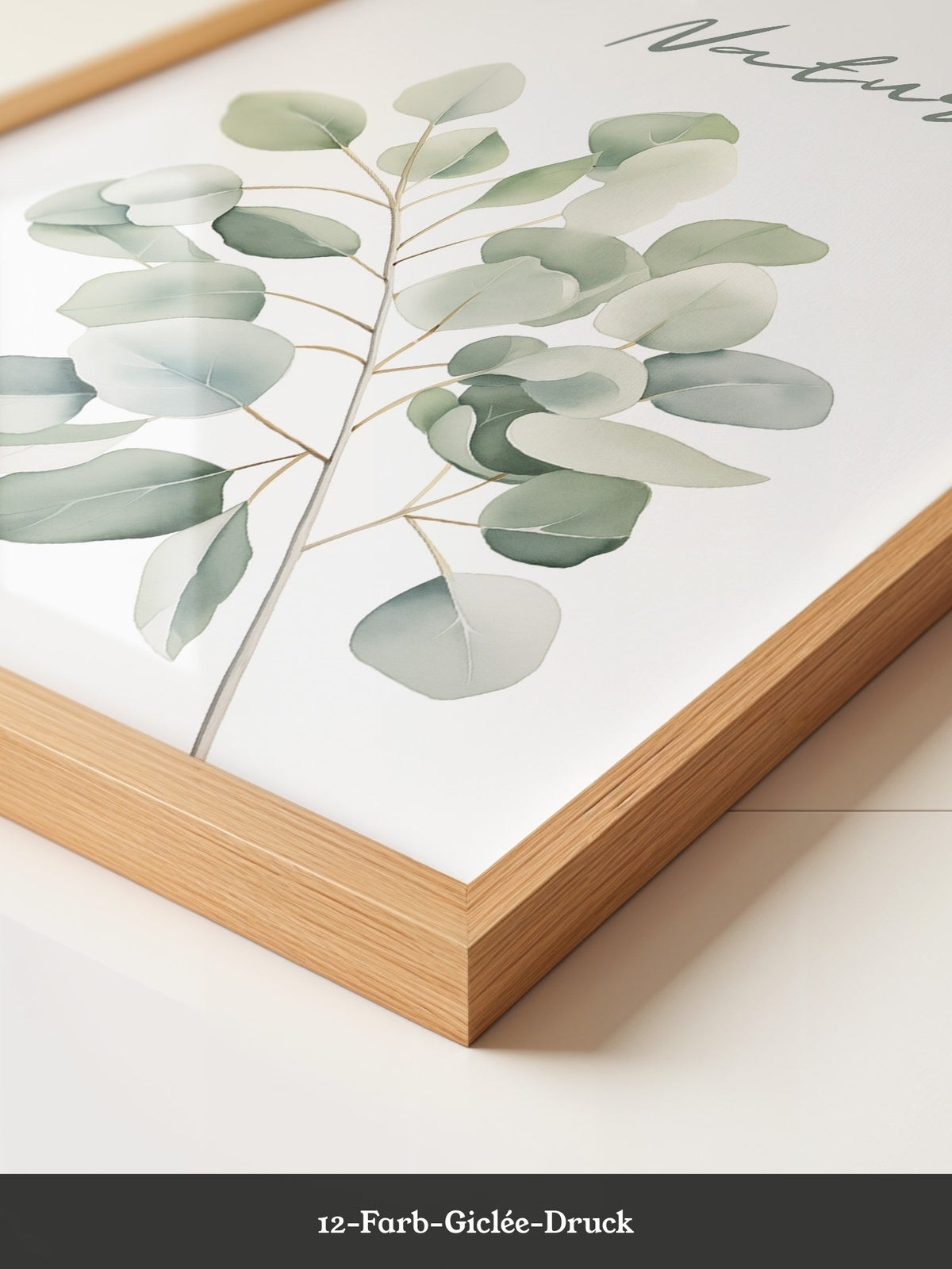 Eukalyptus Aquarell grün