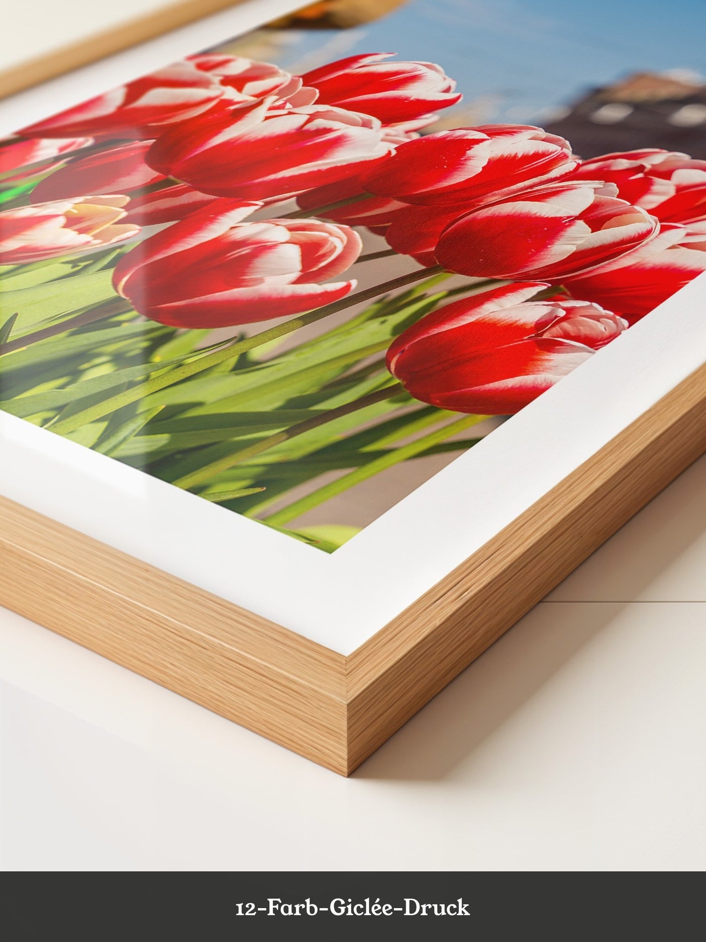 Tulpen frühlingshaft Straße