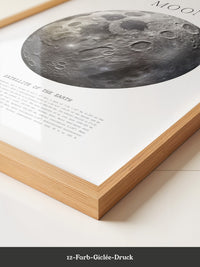 Mond grau Textur Detail