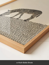 Zebra Grasfläche Grafik