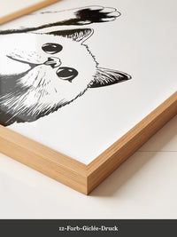 Katzenpfote Schwarz Weiß Grafik