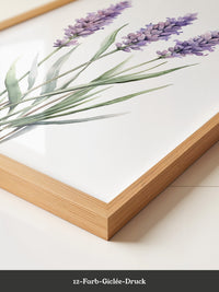 Lavendel Aquarell lila