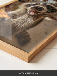 Waschbär Pizza Überraschung