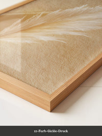 Pampasgras Beige Textur