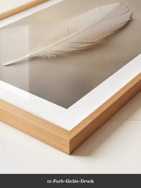 Feder sanft Cremefarben