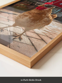 Huhn Sonnenbrille Retro Flair