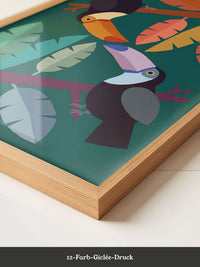 Tukan Vögel Illustration