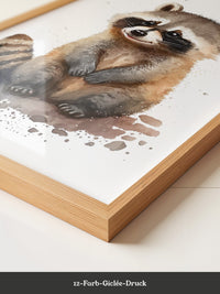 Waschbär Aquarell verspielt