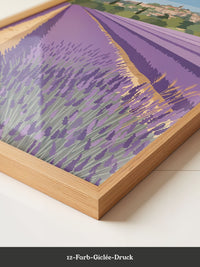 Provence Lavendelfeld Illustration