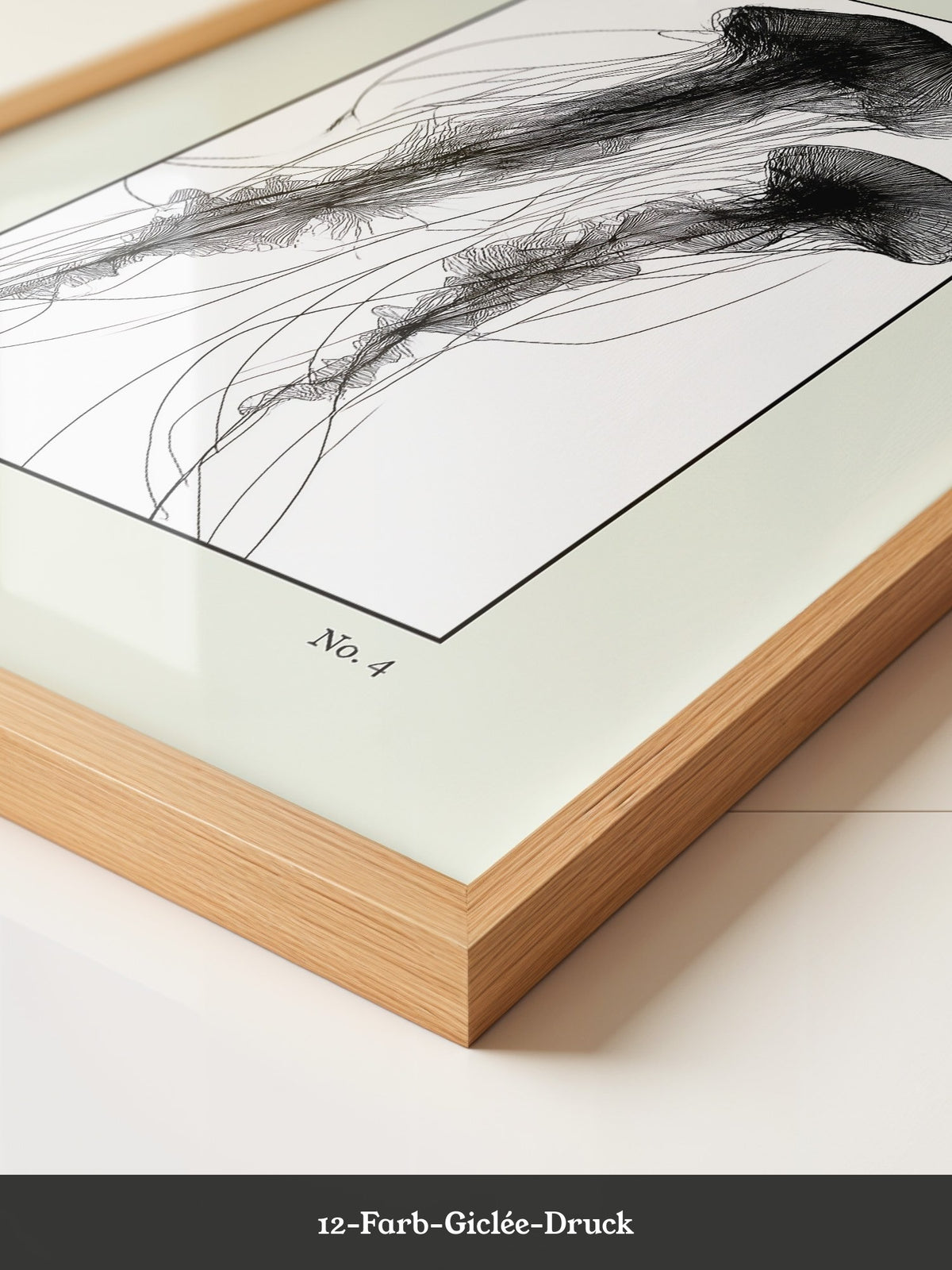 Quallen Transparentlinie Kunstwerk