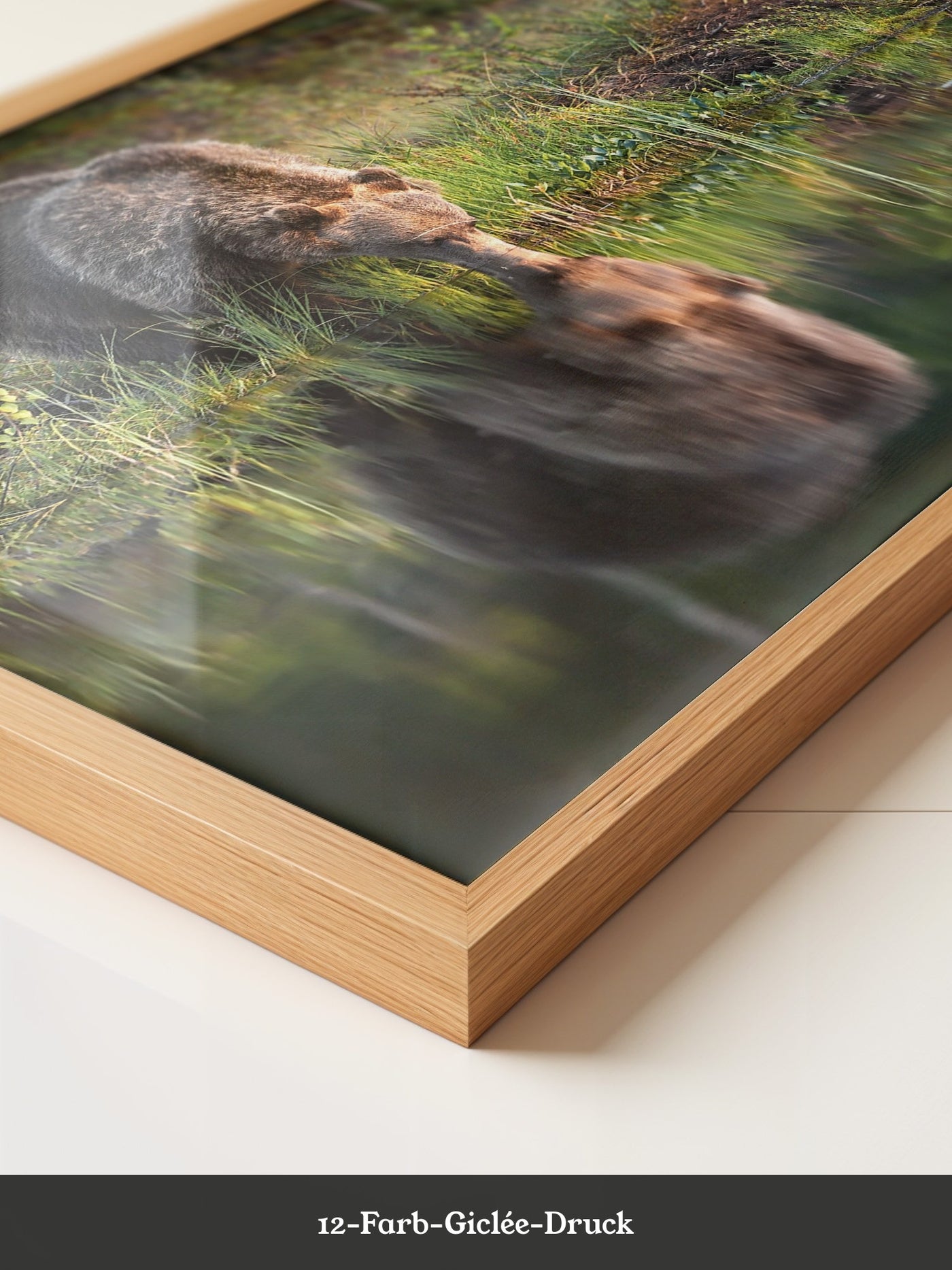 Bären Spiegelung Naturkunst