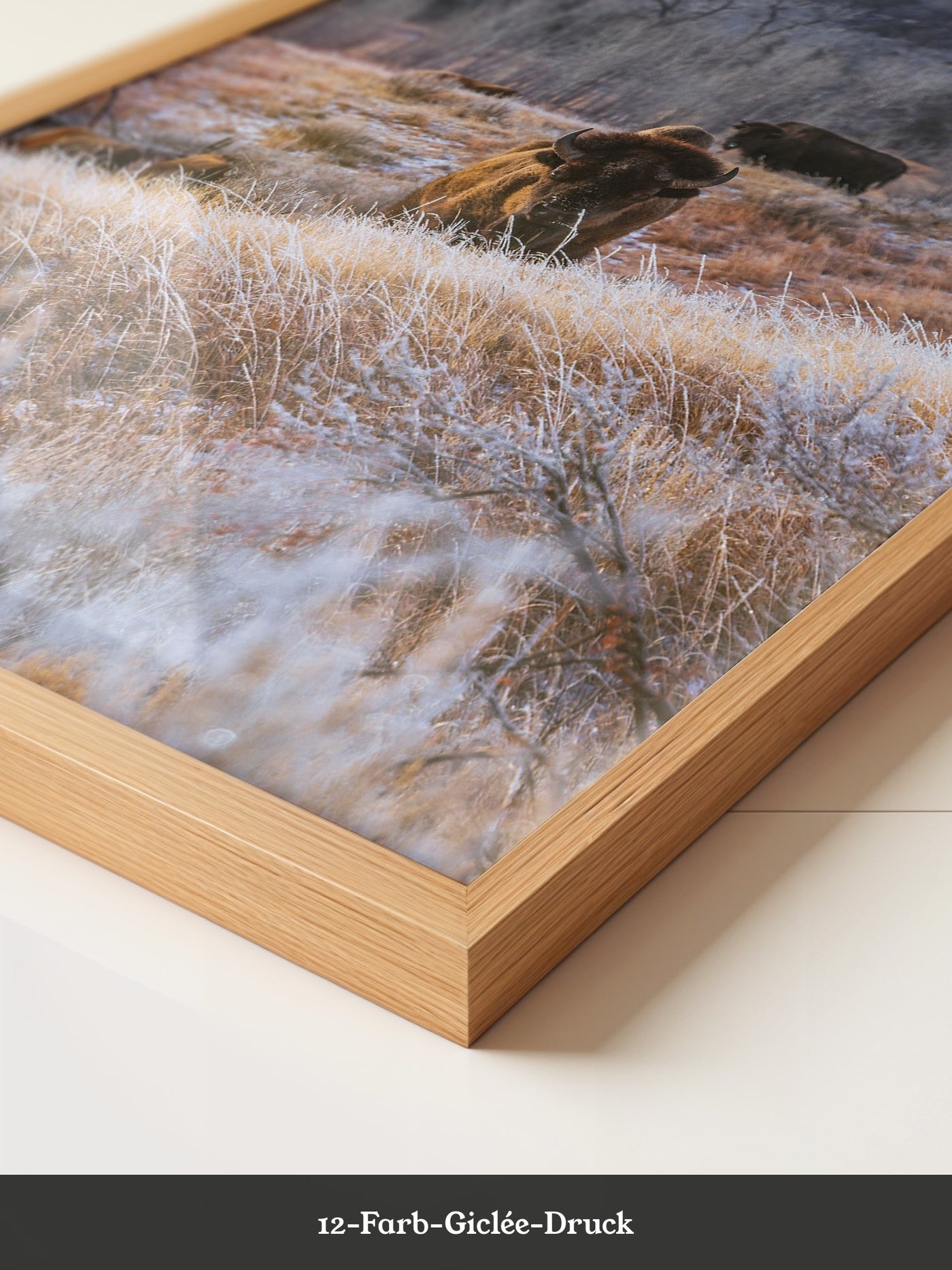 Bison Winterlandschaft Frost