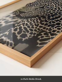 Leopard Nahaufnahme Schwarzbeige