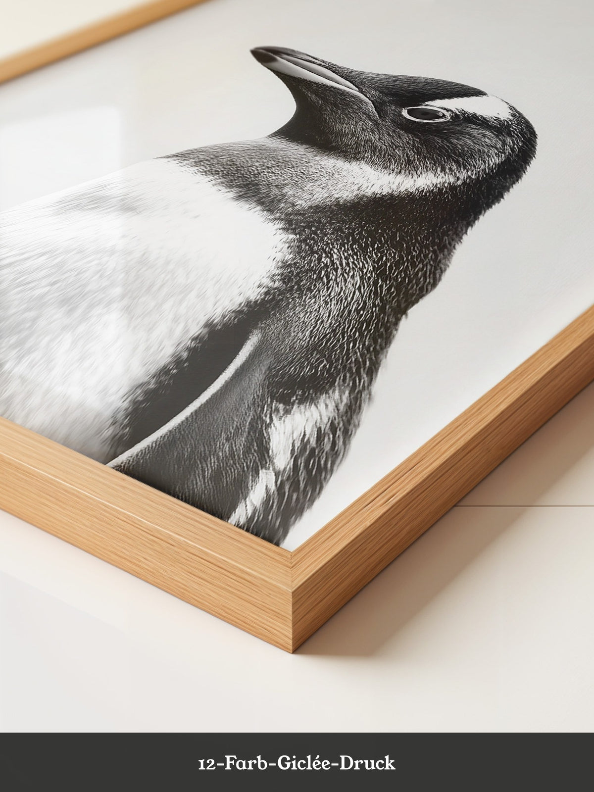 Pinguin Kopf Nahaufnahme S/W
