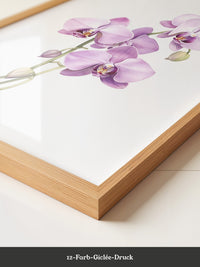 Orchideen Pastell Eleganz