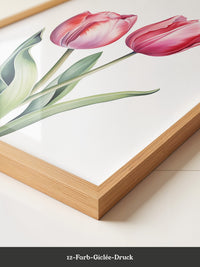Tulpen Zartrosa Realismus