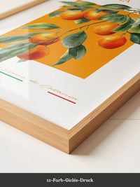 Orangen Zweig Aquarellstil