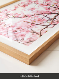 Kirschblüten zart rosa