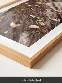 Herbstblätter Holz Nahaufnahme