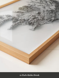 Island 3D-Relief Grau