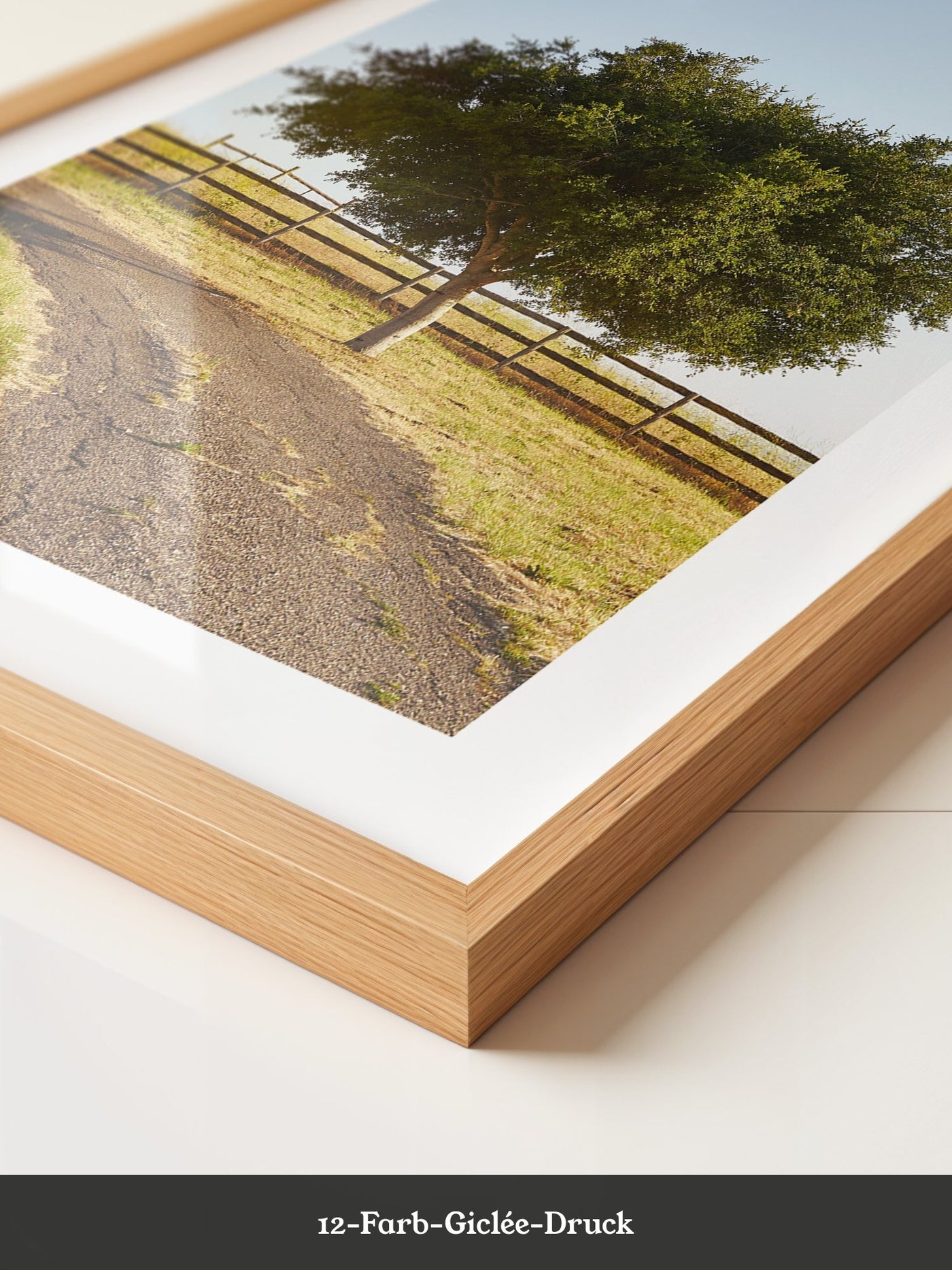 Baumallee Zaun Schattenspiele