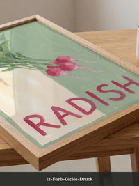 Radieschen Zeichnung retro
