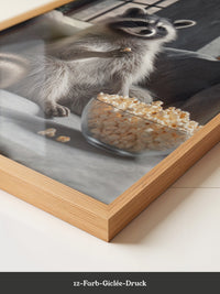 Waschbär Couch Popcorn Szenerie