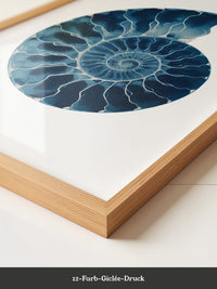 Ammonit Blau Aquarell