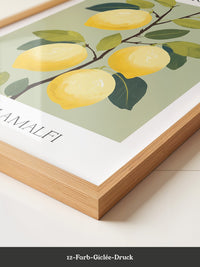 Zitronenbaum Amalfi Illustration