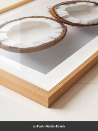 Kokoshälften Minimalismus