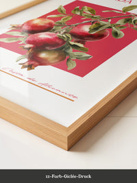 Granatapfel Zweig Rot Hintergrund