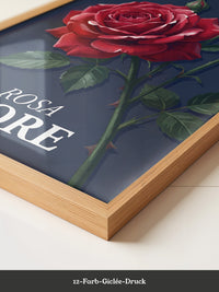 Rote Rose vor Dunkelblau
