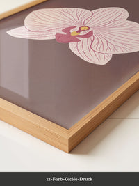 Orchidee Blüte Rosa Illustration