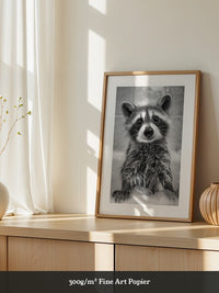 Waschbär Schaum Schwarzweiß