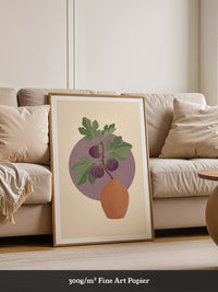 Feigenblatt Leuchtendes Violett