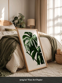 Monstera im Rampenlicht