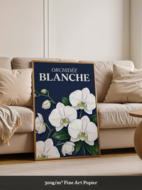 Orchideen Weiß auf Dunkelblau