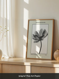 Blume Schwarz Weiß Transparent