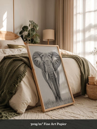 Elefant Frontalansicht schwarz-weiß
