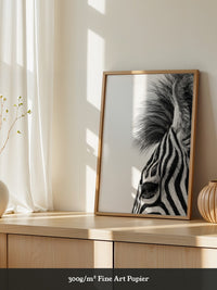 Zebra Detail Schwarzweiß