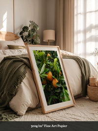 Orangenbaum Grünes Laub