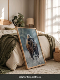 Bison Winterlandschaft Frostig