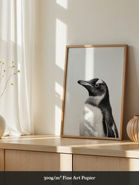Pinguin Kopf Nahaufnahme S/W