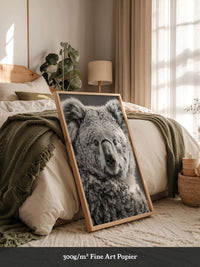Koala Porträt Schwarzweiß