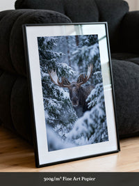 Winterlicher Elch Wald