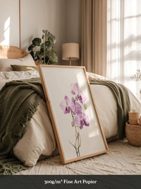Orchideen Pastell Eleganz