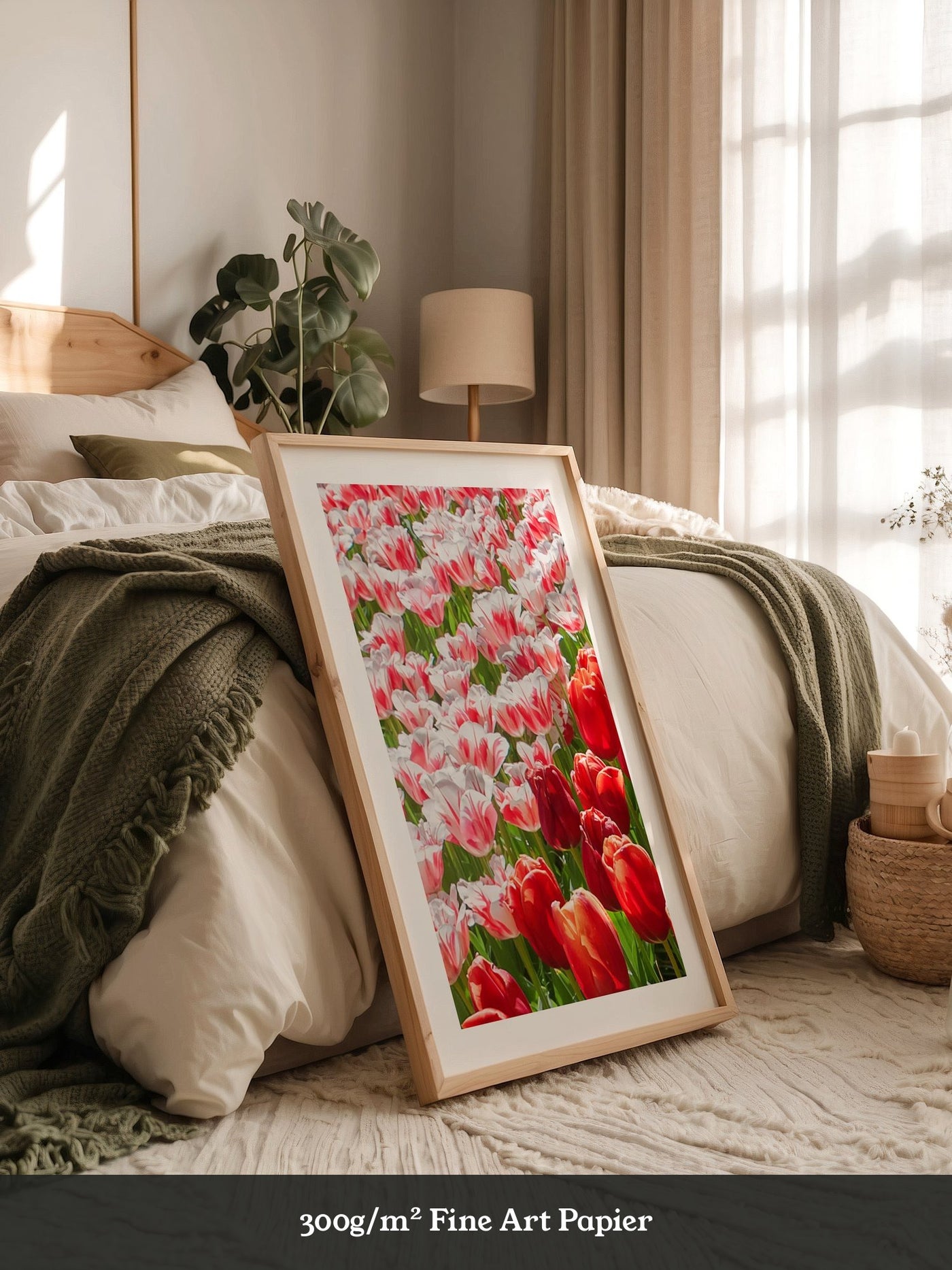 Tulpenmeer Rot Weiß