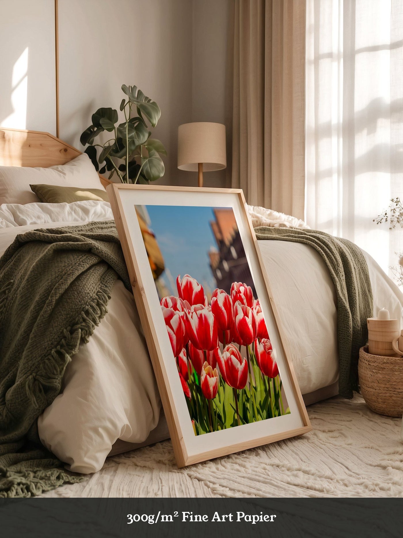 Tulpen frühlingshaft Straße
