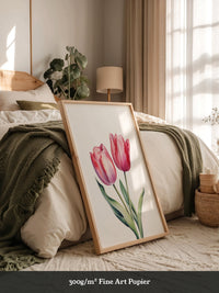 Tulpen Zartrosa Realismus